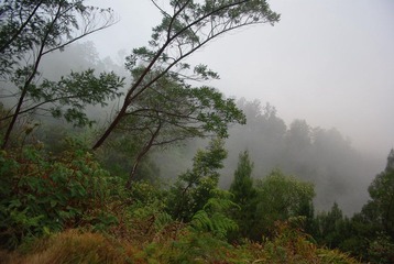 IMGP7458.jpg