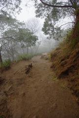 IMGP7461.JPG