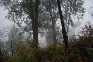 IMGP7464.JPG
