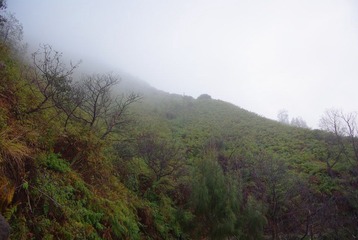 IMGP7465.JPG