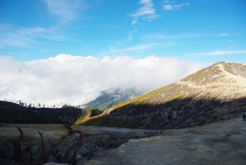 IMGP7542.JPG