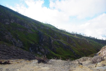 IMGP7555.JPG