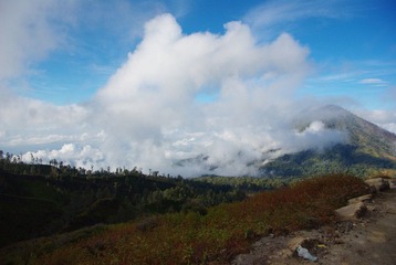 IMGP7565.JPG