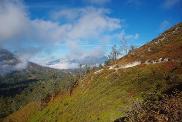 IMGP7569.JPG