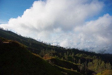 IMGP7570.JPG