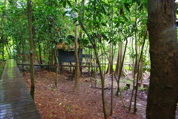 IMGP6112.JPG