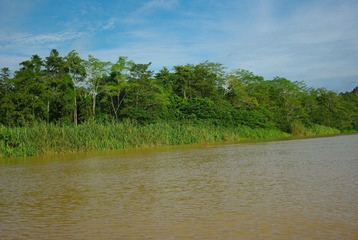 IMGP6153.JPG