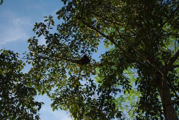 IMGP6160.JPG