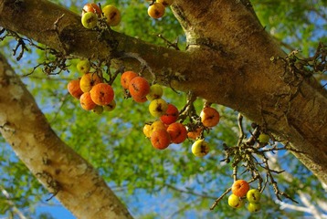 IMGP6166.JPG