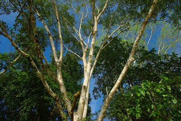 IMGP6169.JPG