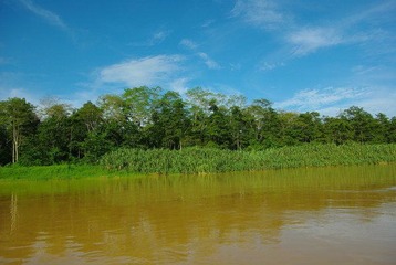 IMGP6171.JPG