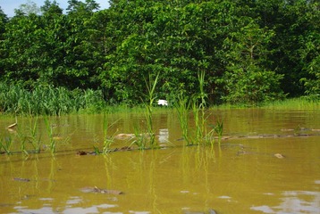 IMGP6174.JPG
