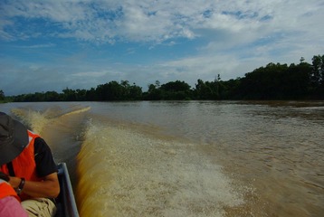 IMGP6175.JPG