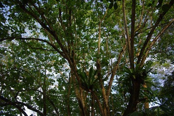 IMGP6198.JPG
