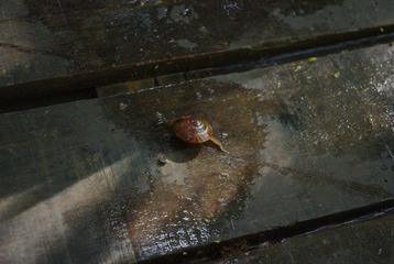 IMGP6218.JPG