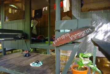 IMGP6234.JPG