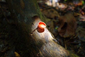 IMGP6297.JPG
