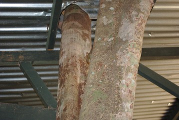 IMGP6325.JPG