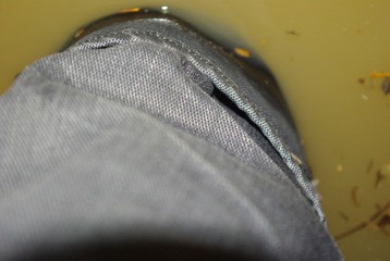 IMGP6422.JPG