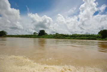 IMGP6515.jpg