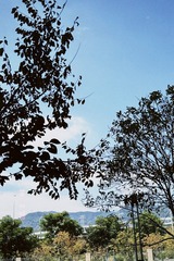 25118C2D-9A29-48A2-B959-89EB528ECEDD/L0/001