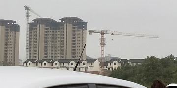 3988589