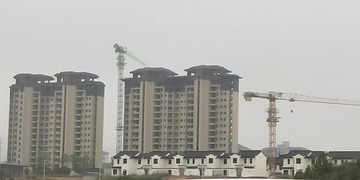 3988588