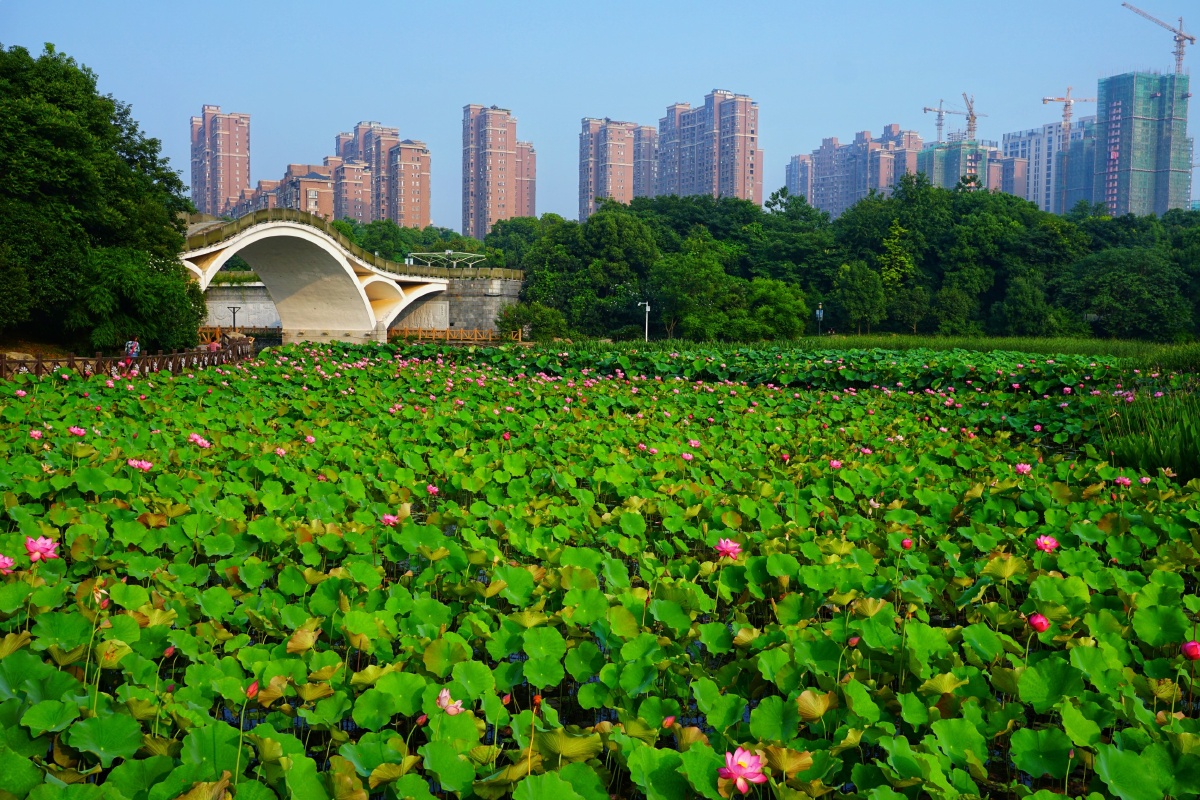 莲城——湘潭,早安