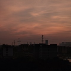 1000013559