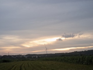 1000045520