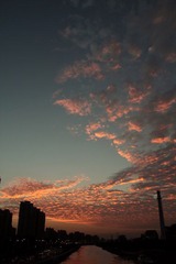 IMG_9824.JPG