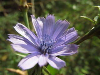 IMG_0157.JPG
