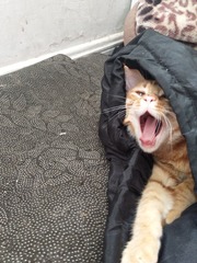 112911