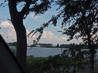 1770611