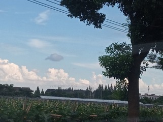1770610