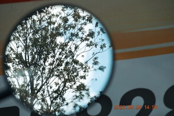 12029