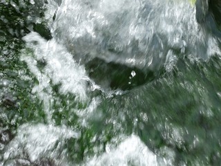 1000046339