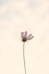 30DEBBA9-4F00-403D-BF1A-2658C1DA279C/L0/001