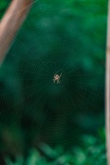 0D784EE4-C754-4461-A241-7384E38BD815/L0/001