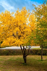 EF12013C-6612-4A70-8F55-5888DA74743D/L0/001