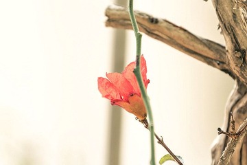 img_7699-1_副本.jpg