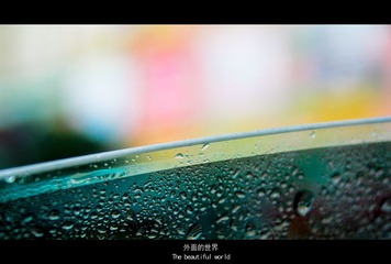 外面的世界