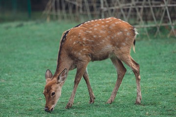 JAY_1211