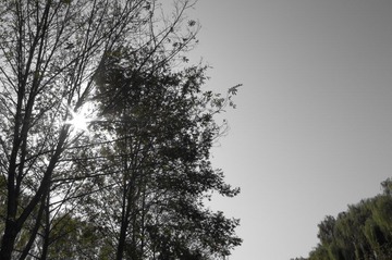 IMGP0410.JPG