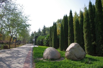 IMGP0412.JPG