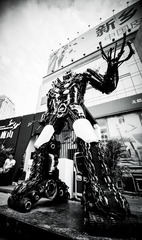 _IGP0421-2