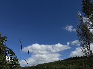 52DF2CEB-DD73-4F53-9594-02ABC2841DF5/L0/001