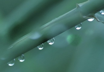 7B10D5C7-3D79-47FF-BBBB-07EF0F4F22E1/L0/001