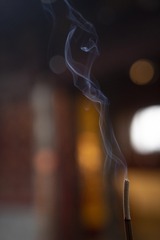 79445