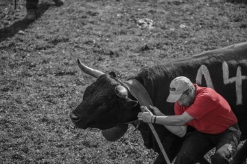 DSC_4836_20131006_141925